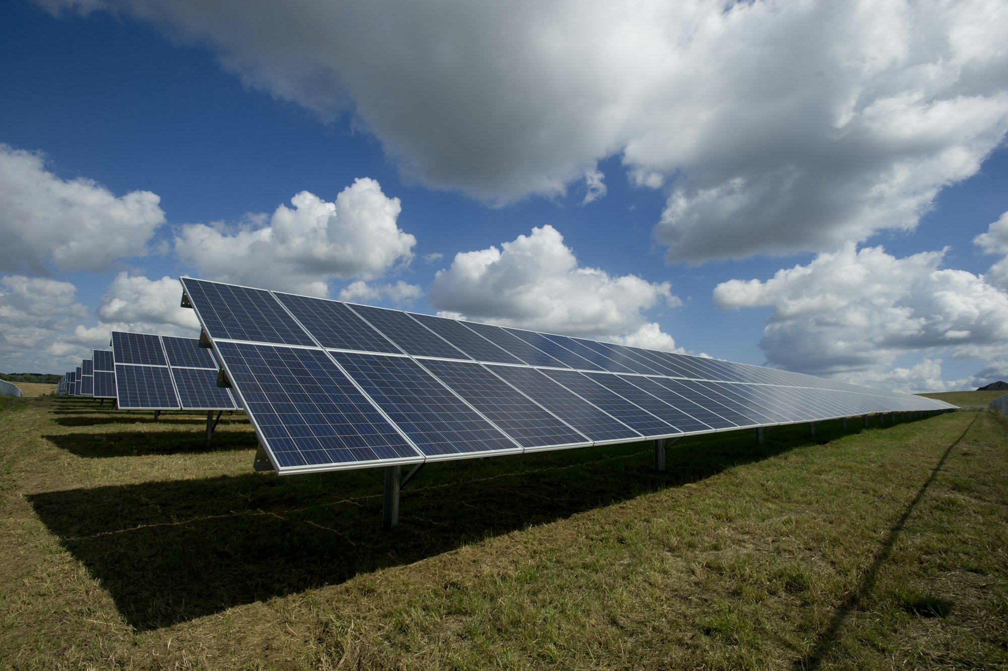 Solar panels in a field, representing renewable-energy projects